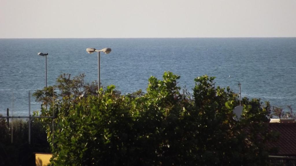 Hotel Ivette Ρίμινι Εξωτερικό φωτογραφία